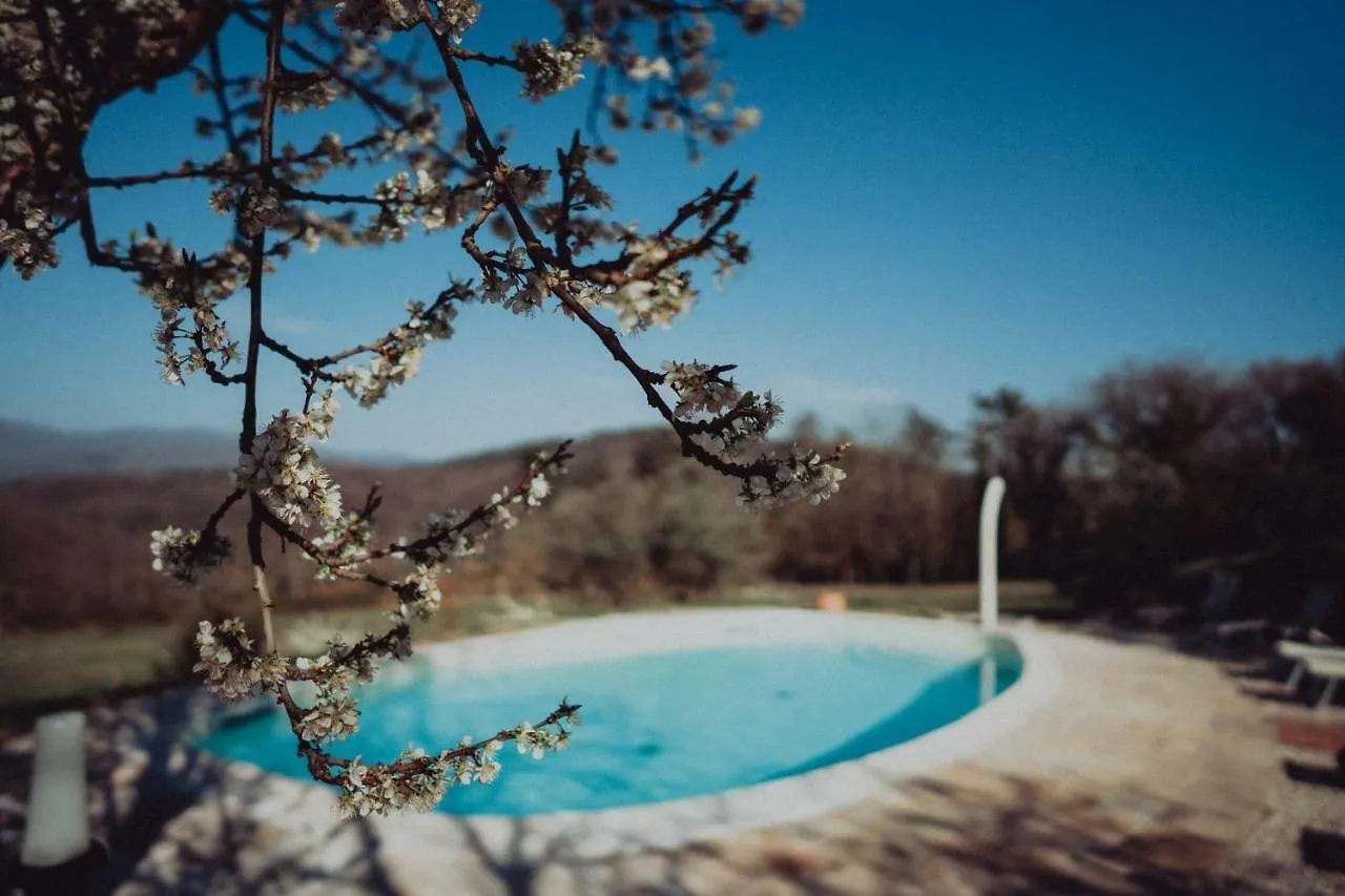 SommaVilla B&B Vicchio